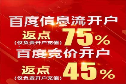 百度广告投放策略优化的经典案例